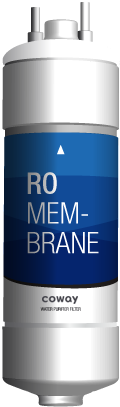 RO Membrane